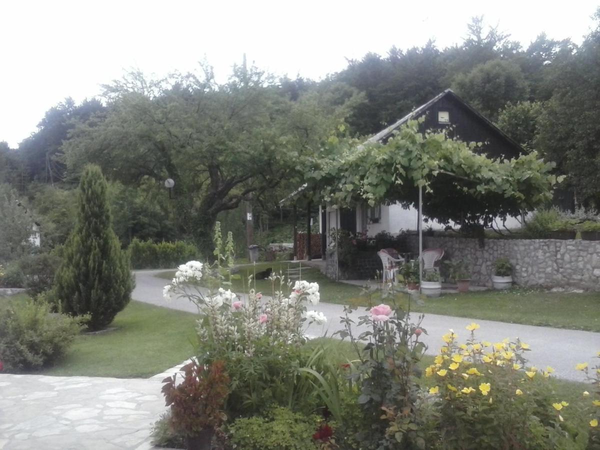 House Nina Apartment โพลยานัค ภายนอก รูปภาพ