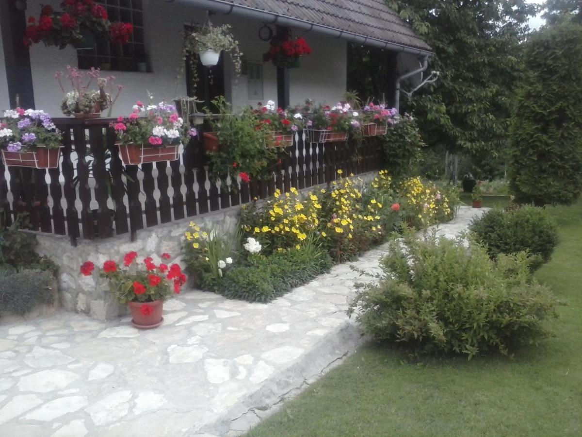 House Nina Apartment โพลยานัค ภายนอก รูปภาพ