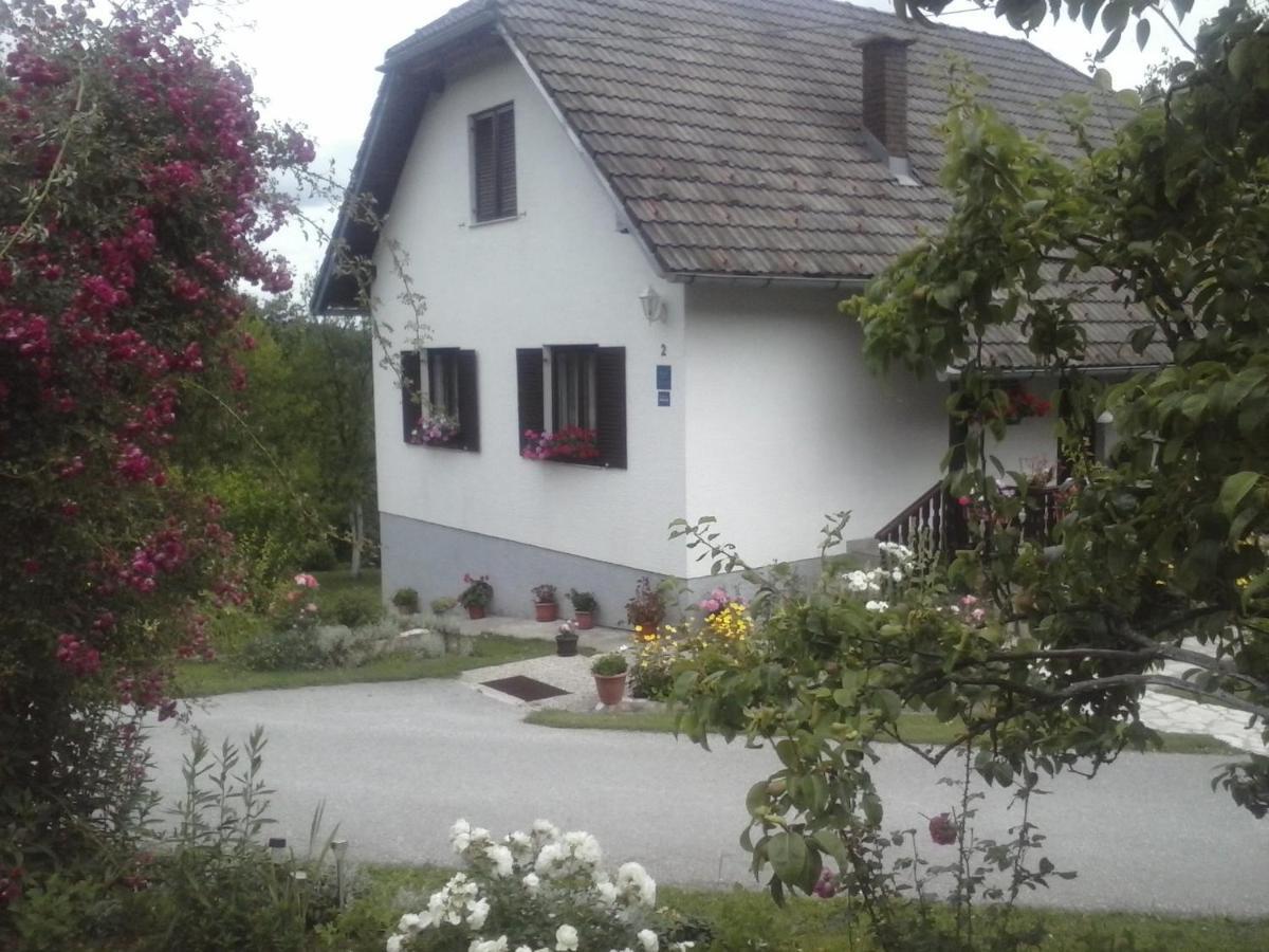 House Nina Apartment โพลยานัค ภายนอก รูปภาพ